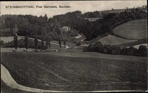 Ak Bernstadt auf dem Eigen Sachsen, Steinbachtal