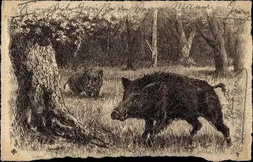 Künstler Litho Wildschweine im Wald