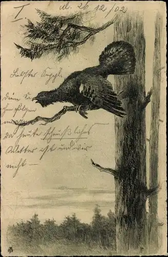 Künstler Litho Auerhuhn am Baum