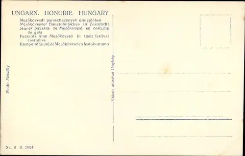 Ak Ungarn, Mezokovesder Bauernburschen in Festtracht