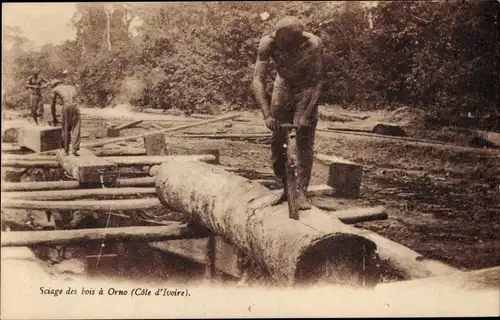Ak Sciage des bois a Orno, Männer sägen und bearbeiten Holzstämme