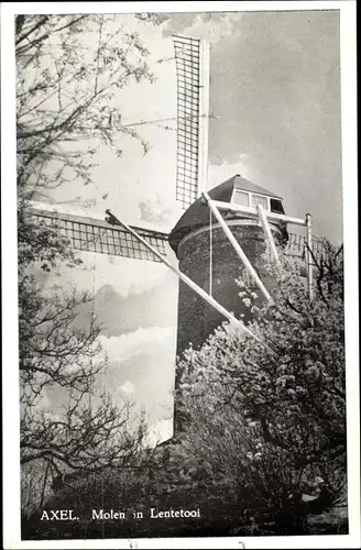 Ak Axel Zeeland Niederlande, Molen in Lentetooi