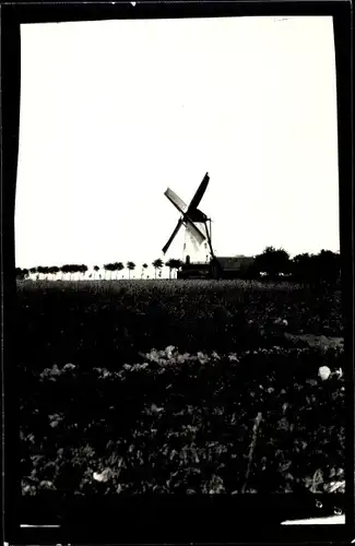 Foto Ak Rilland Reimerswaal Zeeland Niederlande, Molen