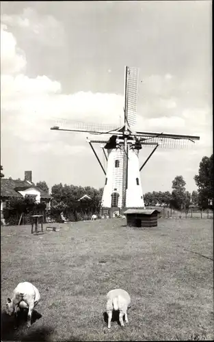 Ak Nieuwerkerk Schouwen-Duiveland Zeeland Niederlande, Molen