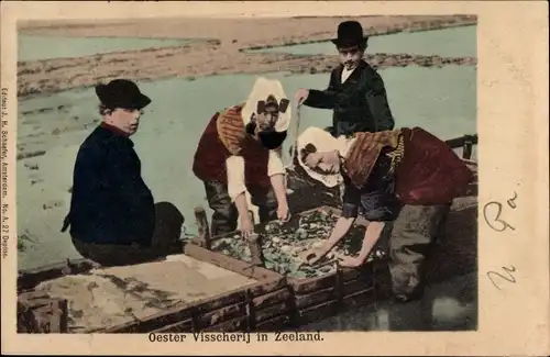 Ak Zeeland, Oester Visscherij, Austernfischer, Trachten