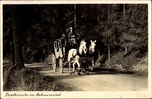 Ak Postkutsche im Schwarzatal, Zweiergespann, In Fahrt, Weg durch den Wald