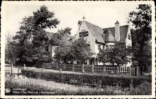 Ak Duinbergen Knokke Heist Westflandern, Villas Les Pins et Oolvenzang