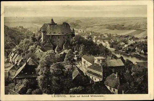 Ak Leisnig in Sachsen, Schloss Mildenstein