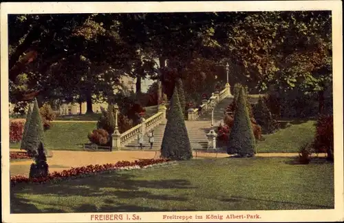 Ak Freiberg in Sachsen, Freitreppe im König Albert Park