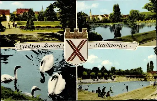 Ak Castrop Rauxel im Ruhrgebiet, Stadtgarten, Freibad, Schwäne, Wappen