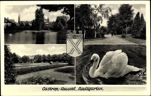 Ak Castrop Rauxel im Ruhrgebiet, Stadtgarten, Schwan, Wappen