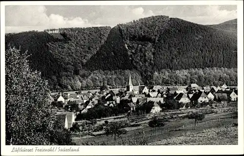 Ak Freienohl Meschede im Sauerland, Gesamtansicht
