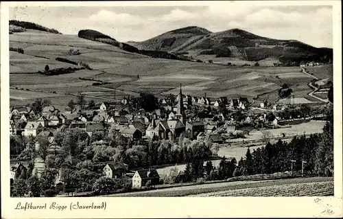 Ak Bigge Olsberg im Sauerland, Panorama