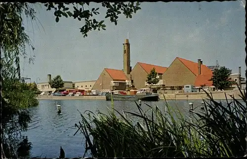 Ak Aalsmeer Nordholland Niederlande, Bloemenveiling, Blumenversteigerung