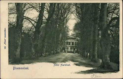 Ak Bloemendaal Nordholland Niederlande, Hotel Hartelust, Allee