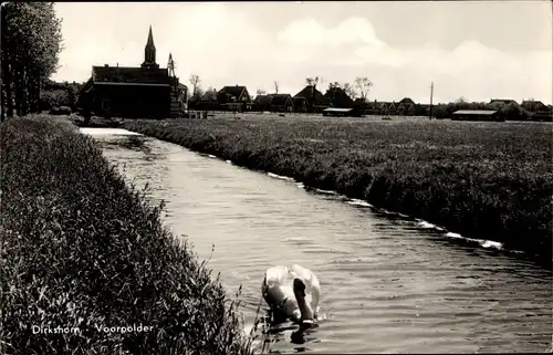 Ak Dirkshorn Nordholland Niederlande, Voorpolder, Schwan