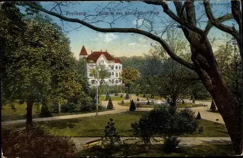 Ak Freiberg in Sachsen, König Albert Park