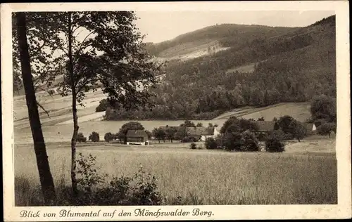 Ak Wilthen in der Oberlausitz, Blick von Blumental auf den Mönchswalder Berg