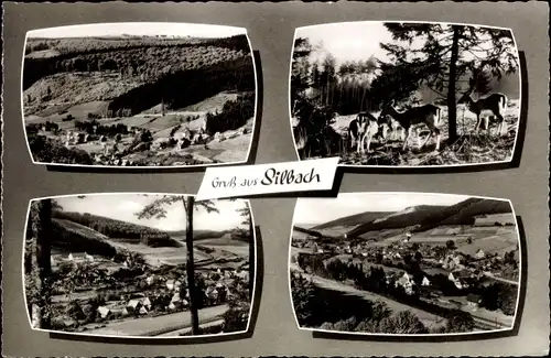Ak Silbach Winterberg im Sauerland, Panorama vom Ort, Teilansichten