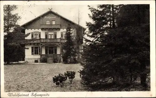 Ak Schwepnitz in Sachsen, Waldheimat