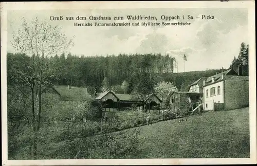 Ak Picka Oppach in Sachsen, Gasthaus zum Waldfrieden, Wiese