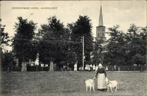 Ak Akersloot Nordholland Niederlande, Hervormde Kerk, Kirche, Frau mit Ziegen