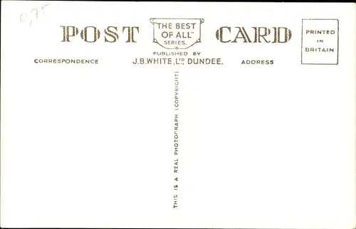 Ak In Calm Waters, Rinder im Wasser, Jungtiere