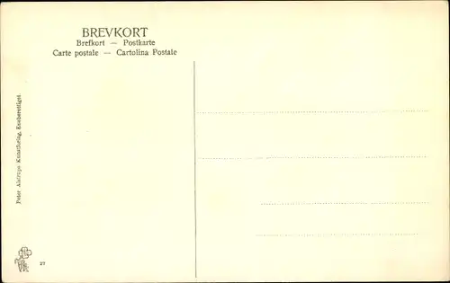 Ak Amager Dänemark, Frau in dänischer Tracht, Portrait