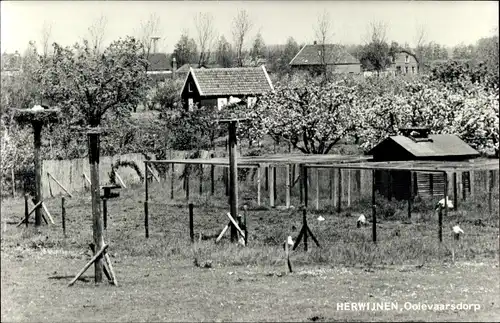 Ak Herwijnen Gelderland Niederlande, Ooievaarsdorp