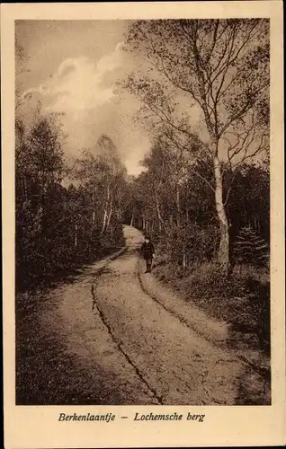 Ak Lochem Gelderland, Berkenlaantje, Lochemsche berg