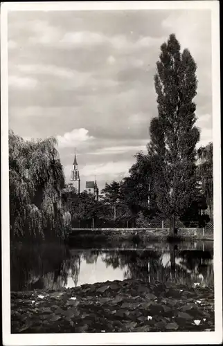 Ak Freiberg in Sachsen, Stadtpark, Johannisteich, Petrikirche