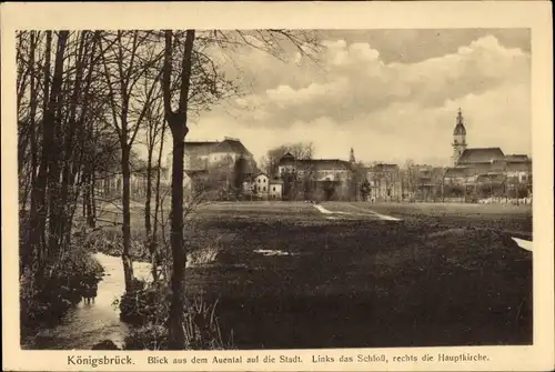 Ak Königsbrück in der Oberlausitz, Stadt vom Auental gesehen, Schloss, Hauptkirche