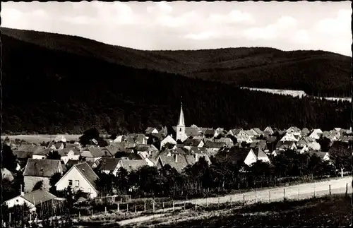 Ak Freienohl Meschede im Sauerland, Panorama vom Ort