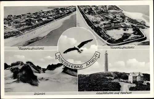 Ak Insel Amrum Nordfriesland, Fliegeraufnahme, Dünen, Leuchtturm, Möwe