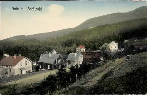 Ak Hain Hayn Oybin Oberlausitz, Ortsansicht mit Hochwald