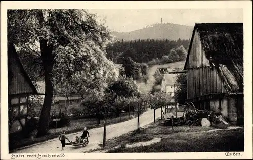 Ak Hain Hayn Oybin Oberlausitz, Ortspartie, Hochwald