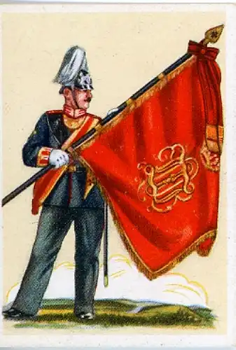 Sammelbild Fahnen und Standartenträger Album 2 Nr. 311 Grenadier-Rgt. Königin Olga 1. Württ. No. 119