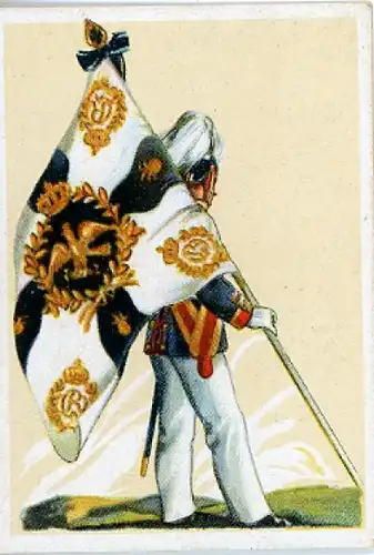 Sammelbild Fahnen- und Standartenträger Nr. 202, Kaiser Franz Garde Gren. Rgt. No. 2, I. Batl.
