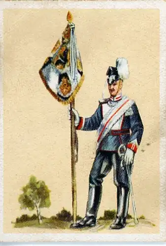 Sammelbild Fahnen- und Standartenträger Nr. 183 1. Garde Ulanen Regt. 1910