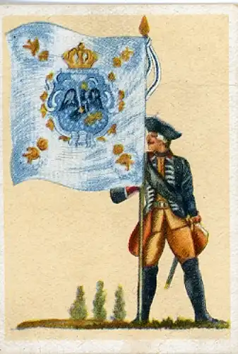 Sammelbild Fahnen- und Standartenträger Nr. 57 Preuß. Infanterie-Rgt. Nr. 19 Markgraf Karl 1731