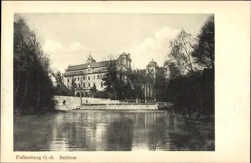 Ak Niemodlin Falkenberg Oberschlesien, Schloss