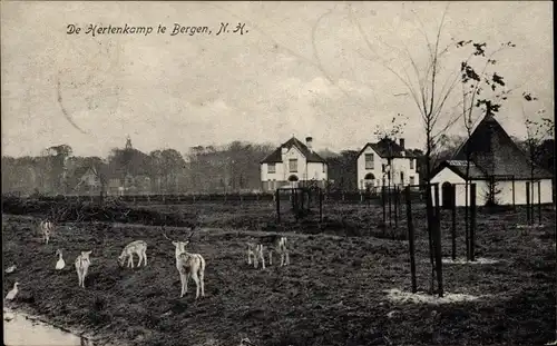 Ak Bergen Nordholland Niederlande, De Hertenkamp