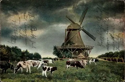 Ak Landschaft mit Rinderherde und Windmühle