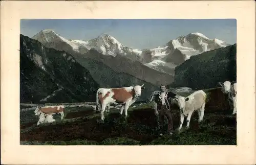 Ak Gebirgslandschaft mit Rindern