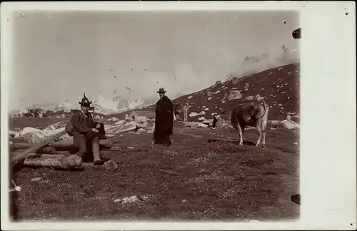 Foto Ak Wanderer im Gebirge, Rinder