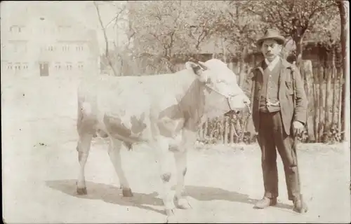 Foto Ak Mann mit Stier