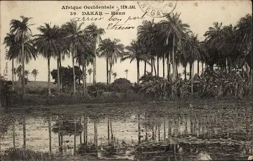 Ak Dakar Senegal, Marigot de Hann