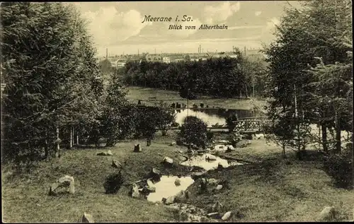 Ak Meerane in Sachsen, Blick vom Alberthain