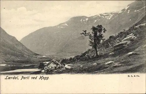 Ak Laerdal Soeren Fjord Norwegen, Parti ved Hegg