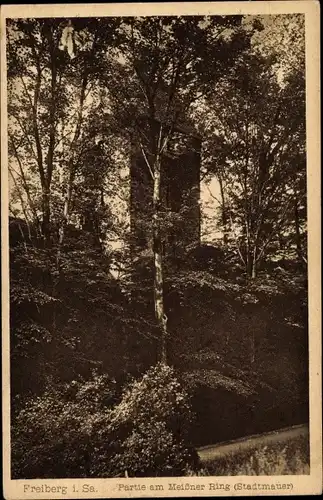 Ak Freiberg in Sachsen, Partie am Meißner Ring, Stadtmauer